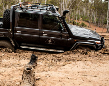 raptor painting 4x4 cars